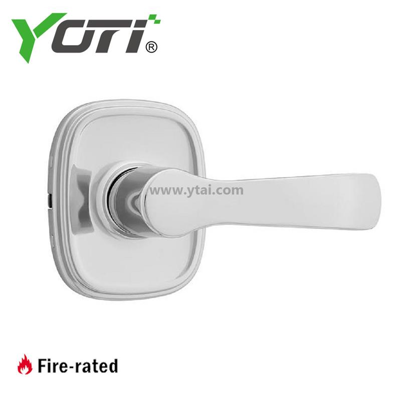 YDL100 Door Levers